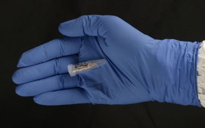 Els homínids de la Sima de los Huesos d’Atapuerca pertanyen al llinatge evolutiu neandertal