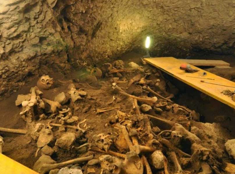 Anàlisi d’ADN a la cova d’El Mirador