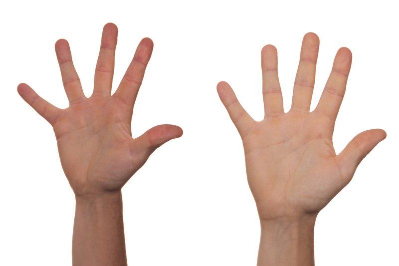 Píndola 7 – La morfologia de la mà humana