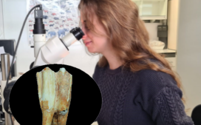 Dossier didàctic alumne – L’estudi del desgast dental com a eina per saber com era el medi al paleolític