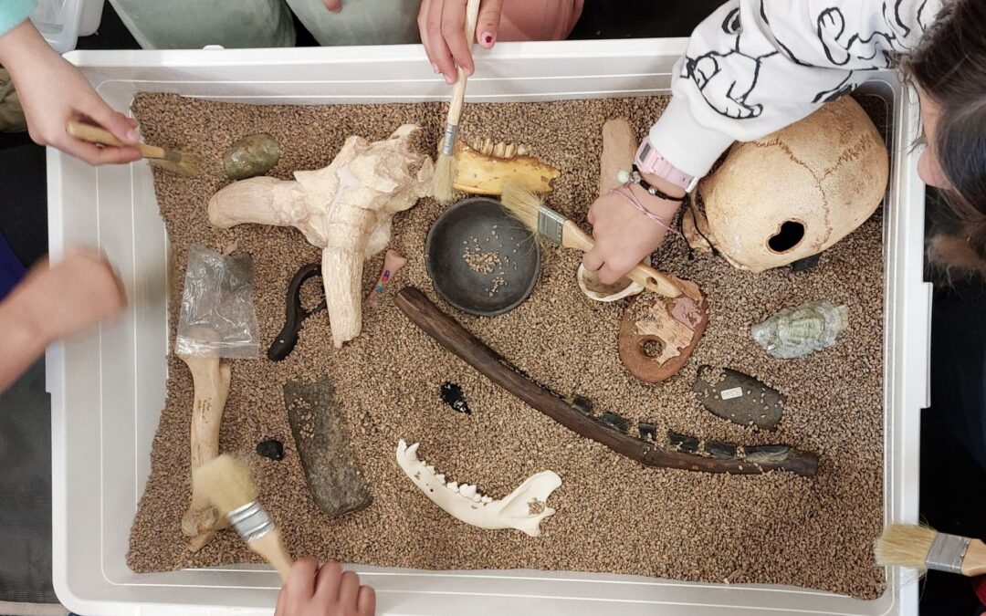 Arqueolab familiar: Explora la prehistòria