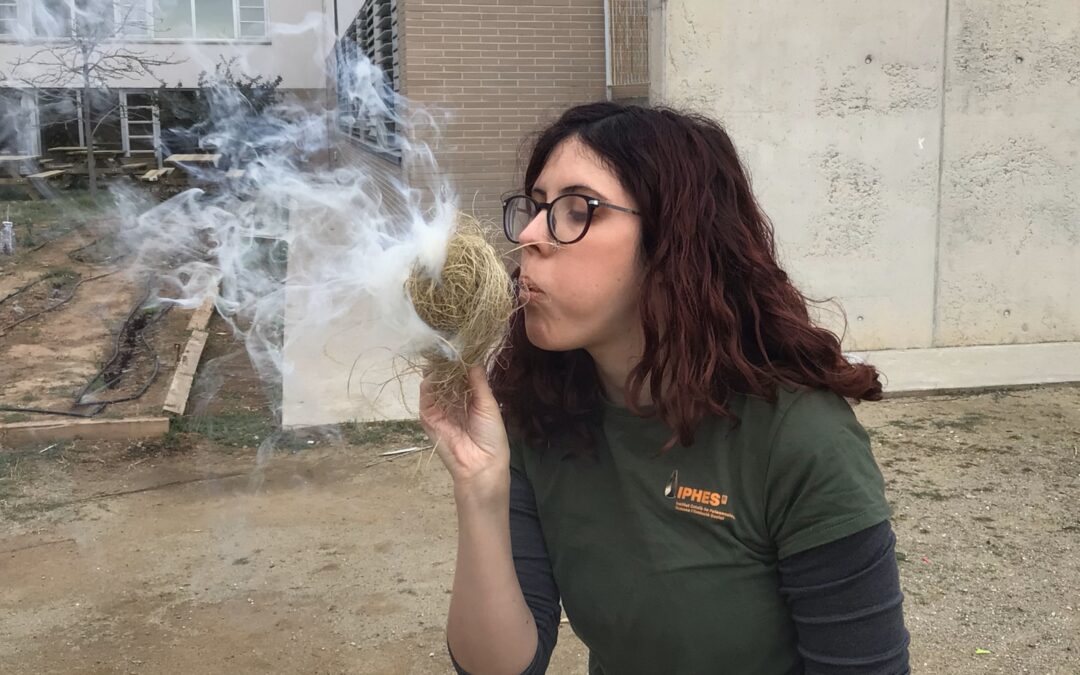 La Vida en la Prehistoria