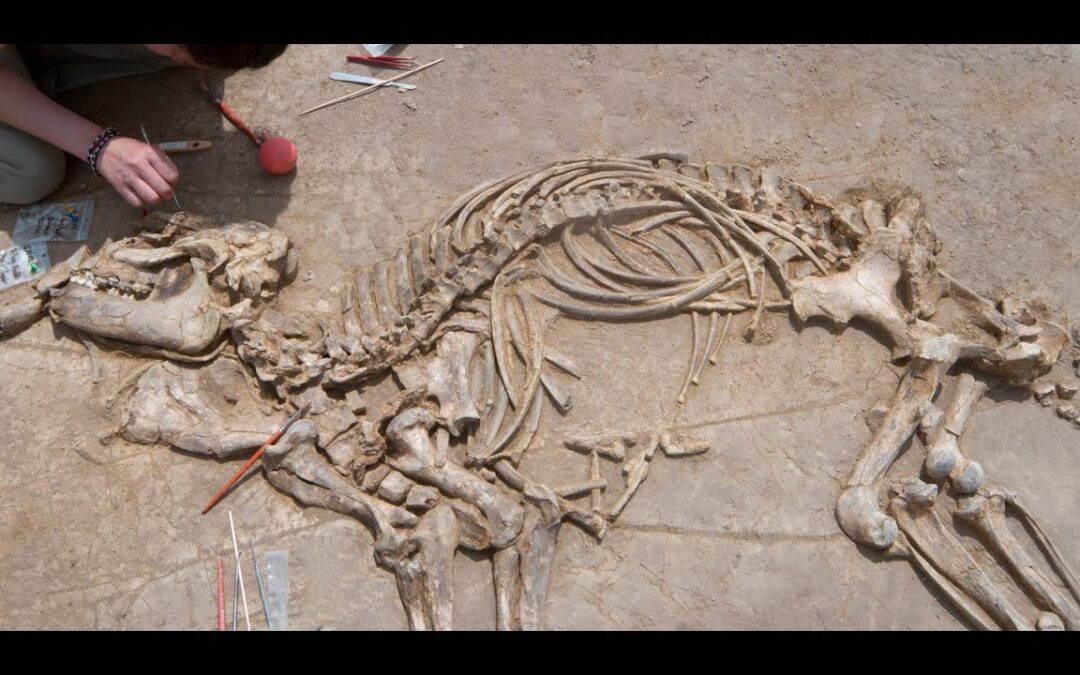 Paleontología y Cambio Climático: