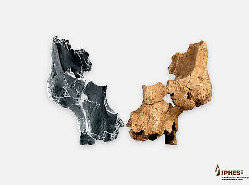 Revelamos los misterios de la evolución: La investigación del IPHES