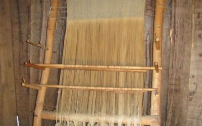 Weaving Prehistory!