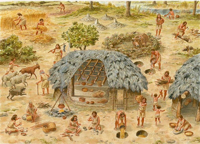 Build your neolithic village