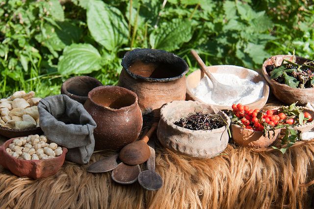 A Prehistoric Buffet