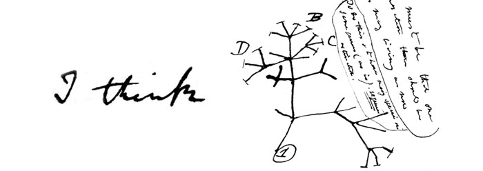 Make a Cladogram