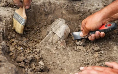 Archaeological Investigation